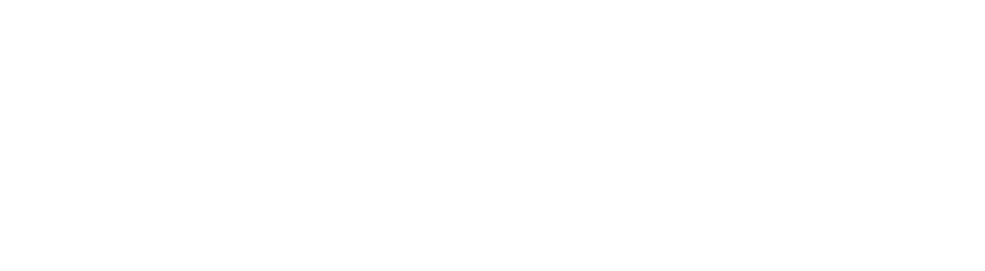 Lenipse Académico